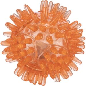 trixie hundespielzeug igelball 33640 – Trixie Blink Igelball und Blinkender Hundeball klein