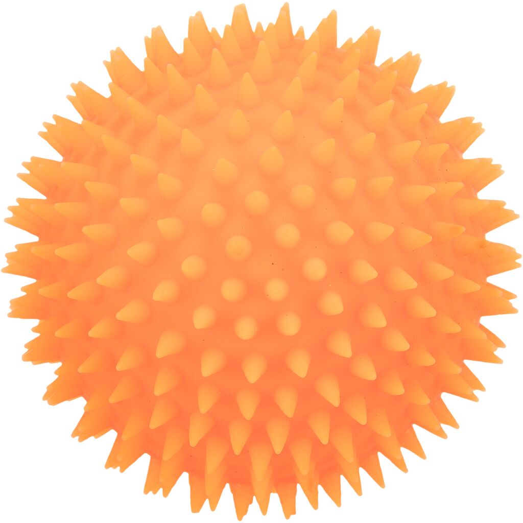 Trixie Igelball Vinyl 3412 – Quietschender Noppenball Hund zur Zahnfleisch-Massage