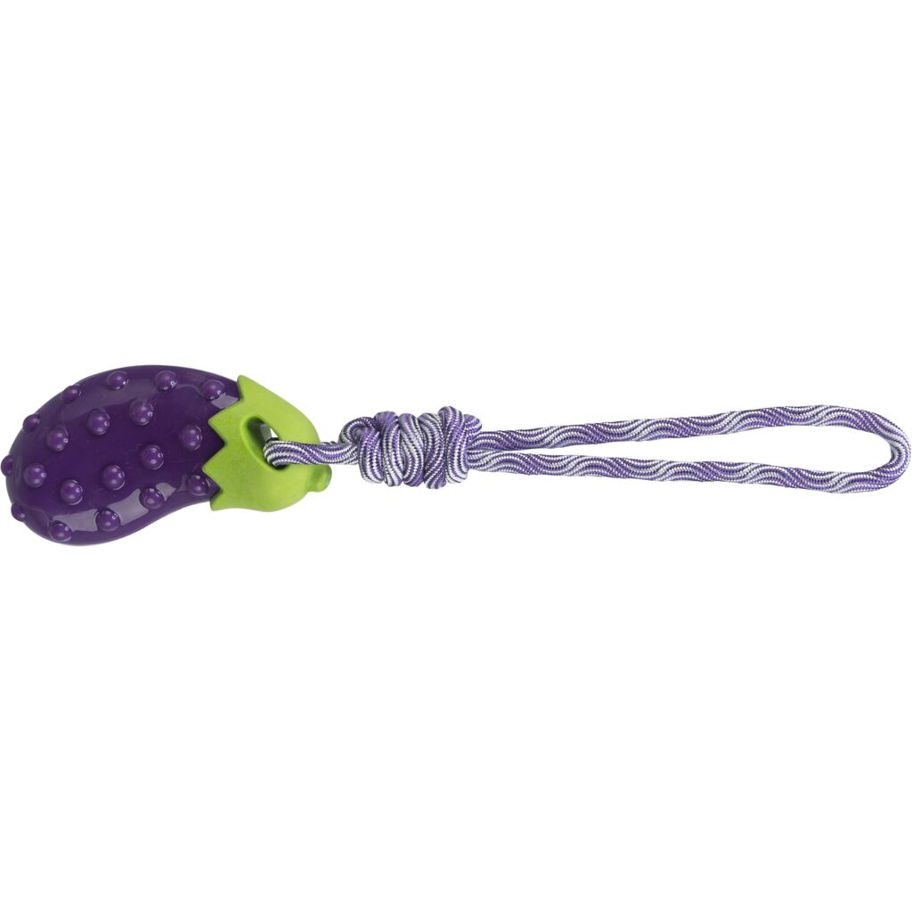 Robustes Kauseil 34707 – 34 cm langes Spieltau mit strukturierter TPR-Aubergine zur spielerischen Zahnpflege