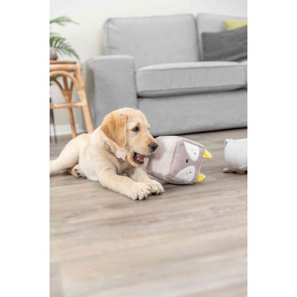 trixie-hundespielzeug-junior-fuchs-wuerfel-pluesch-36167-vorteilspaket-11003-tierbedarf-bvl-shop