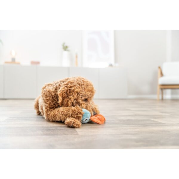 trixie-hundespielzeug-schmetterling-pluesch-361001-tierbedarf-bvl-shop