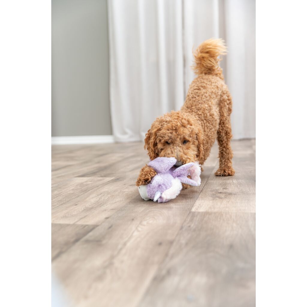 Ein hochwertiges Hundespielzeug mit Quietscher aus der aktuellen Trixie Kollektion