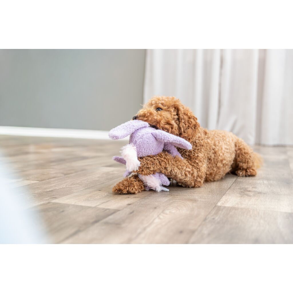 Der farbenfrohe Trixie Einhorn Plüsch Gefährte für gemütliche Stunden im Körbchen