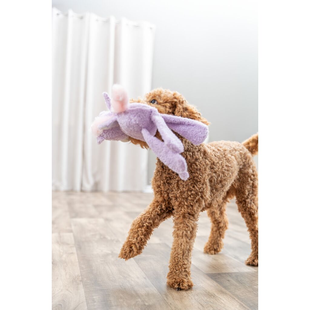 Ein weiches Hundespielzeug mit Quietscher zum Ankuscheln nach dem Toben