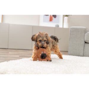 Das trixie hundespielzeug monster 36125 Plüschtier im drolligen Design