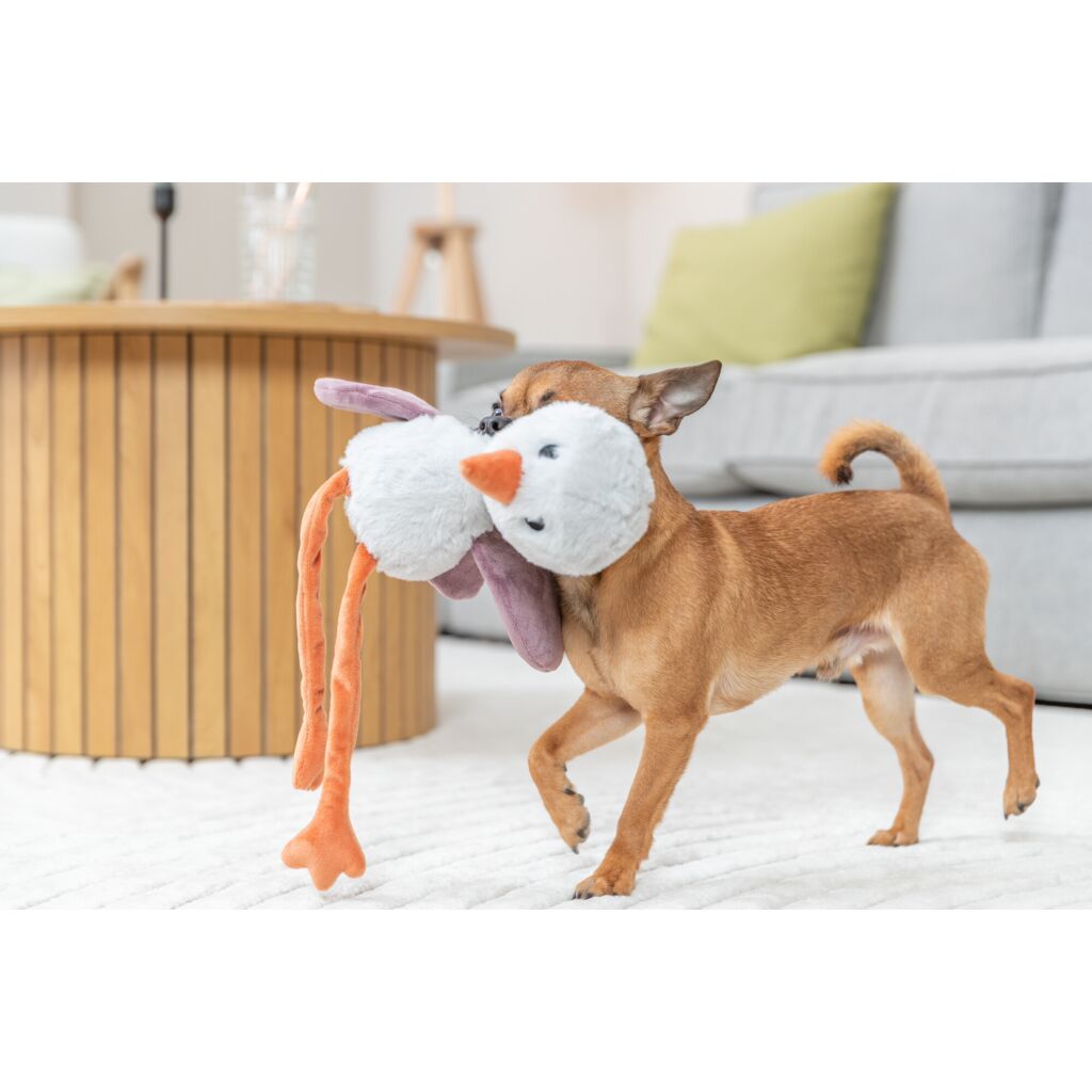 Das Trixie Hundespielzeug Strauß im bvl Shop Dominik Lang in Offenhausen