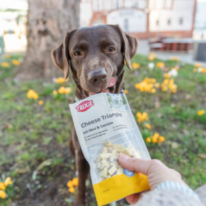 Hundefutter