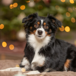 Matten