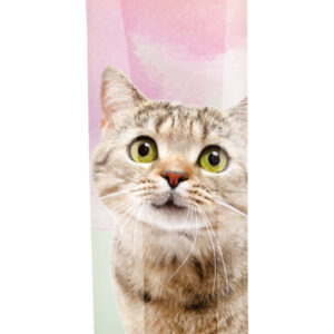 Katzenfutter